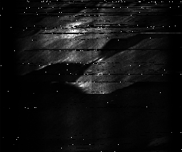 ascat_grayscale_ch3.png